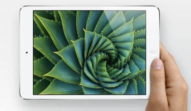 iPad mini�o�� ��^�s��ī�G