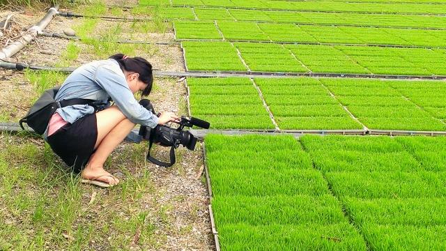 讓青年大步踏出舒適圈  走進真實世界