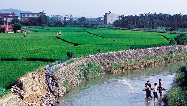 台知園區特定區計畫，將把種出冠軍米的稻田變建地，台灣可能永遠失去一片美麗又珍貴的優良農地。