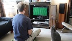 避免沉迷任何事物的最好方法…