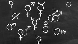 電影《丹麥女孩》沒告訴你的事：「性別認同」的來源是大腦、3歲就決定了