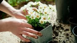 褚士瑩：我期許成為一個，在困頓時不需要別人網路集氣的人