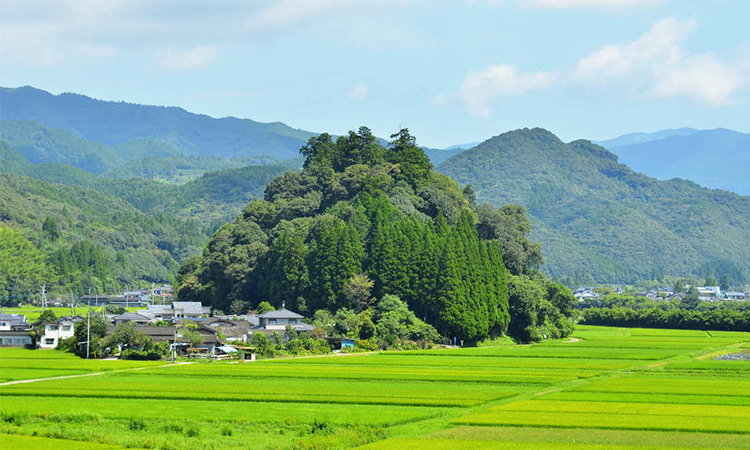 鐵粉快朝聖！龍貓、神隱少女.....宮崎駿動畫在這些地方取景的，日本實地大公開