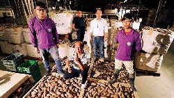 地瓜農場經理人   平均35歲年薪上看百萬