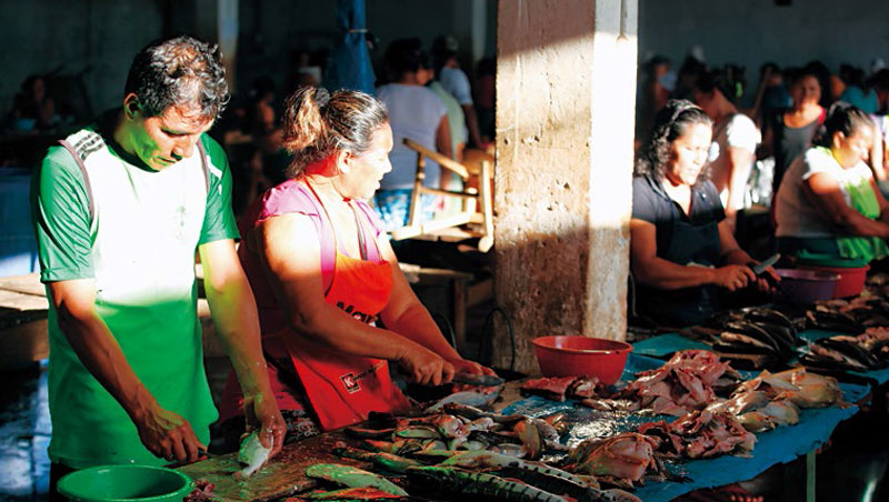 亞馬遜河裡駭人的食人魚，在伊基托斯市場裡，卻成了小販的魚貨和盤中飧。