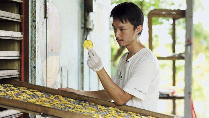 仔細檢查每片鳳梨乾,是很重要的工序。 仔細檢查每片鳳梨乾,是很重要的工序。