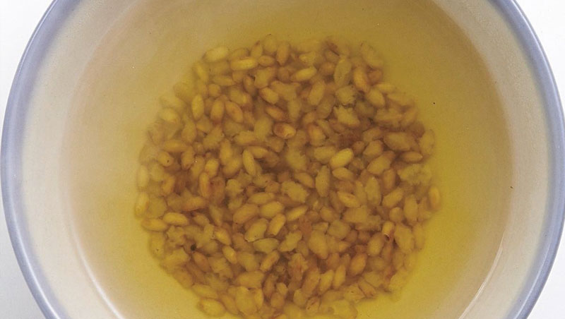 糙米湯 糙米湯