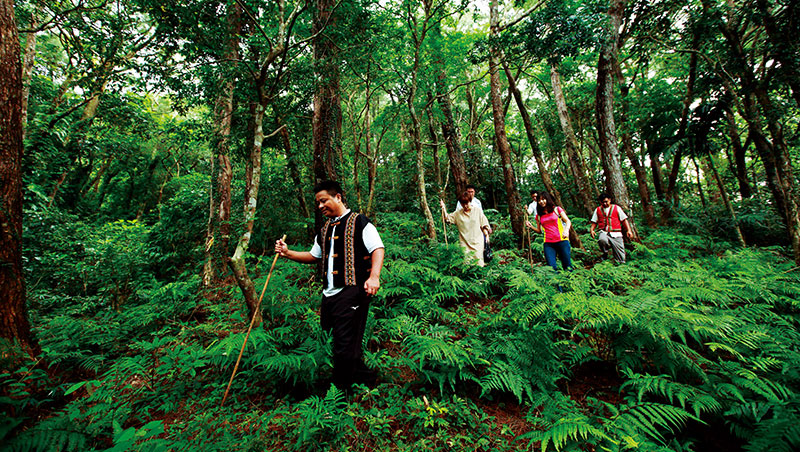 入山祈福 入山祈福