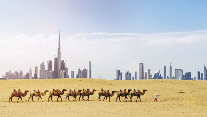 (攝影者:owngardenMoment via Getty Images) (攝影者:owngardenMoment via Getty Images)