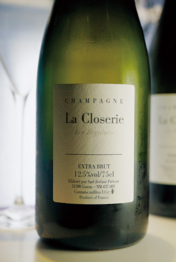 小辭典》麵粉皮諾(Pinot Meunier) 小辭典》麵粉皮諾(Pinot Meunier)