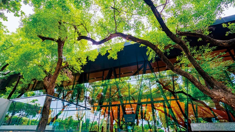 隱身森林屏東總圖  讀書、看展、呼吸芬多精