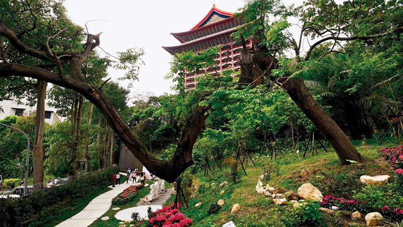 從東密道出口,通往一般旅客無法任意進入的秘境花園,其中苦楝樹的造型獨特 從東密道出口,通往一般旅客無法任意進入的秘境花園,其中苦楝樹的造型獨特