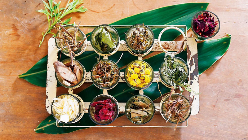 將各種花草乾排開,是植物百科,是美麗擺飾,更是生活良伴 將各種花草乾排開,是植物百科,是美麗擺飾,更是生活良伴
