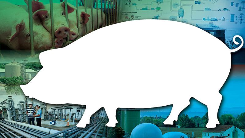 一隻豬　看見循環經濟大未來