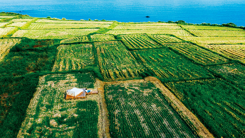 遠古與當代對話　香蕉絲製QRcode、饒舌歌唱岩棺史