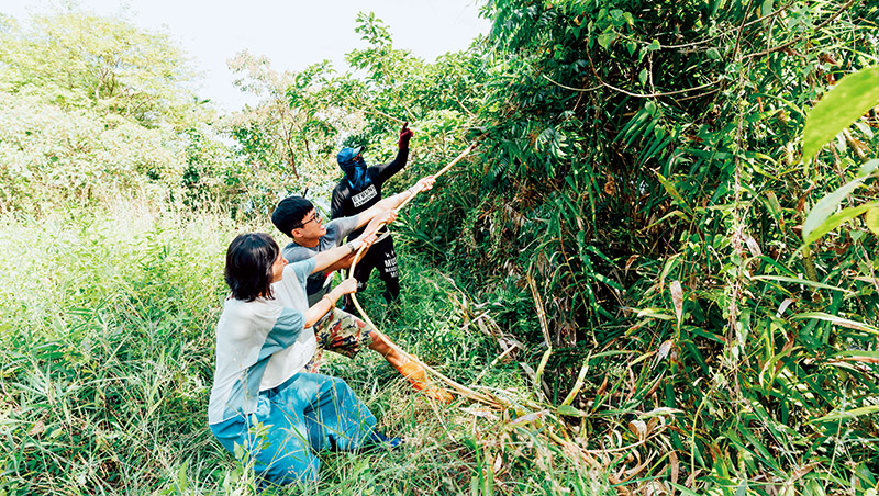 深入大地採集　向在地達人學黃藤沙拉、編織