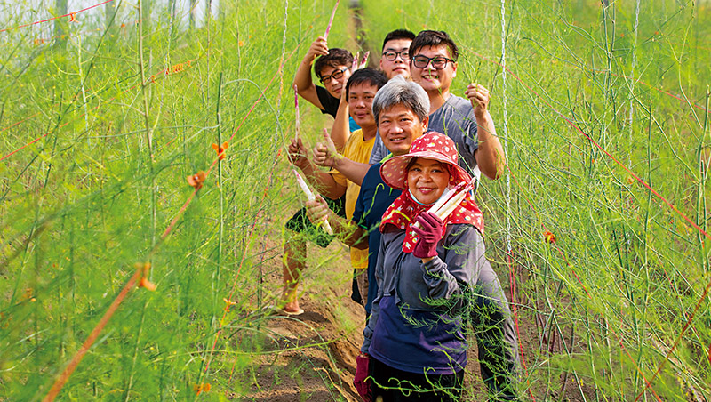小公務員串起農牧共好　惡臭糞水種出800元高價紫蘆筍