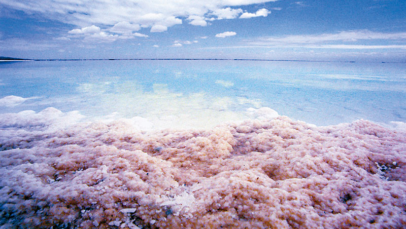 從鹽湖、非洲搶到外太空，新石油戰開打