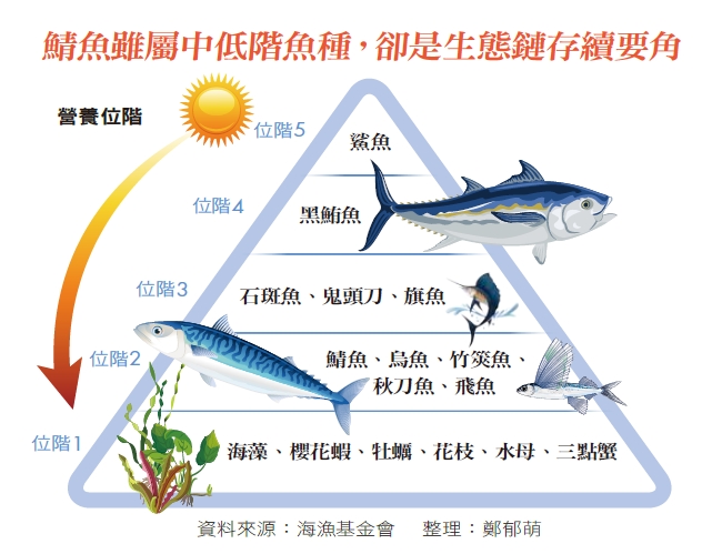 一家沒落罐頭廠 捕魚豪門後代救起台灣鯖魚業 精選文章 商業周刊