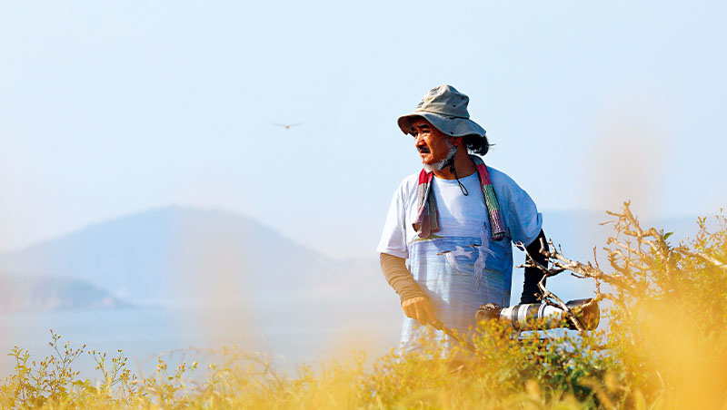 拍片累到腦中風、被虎頭蜂螫　一個傻導演守候鳥20年