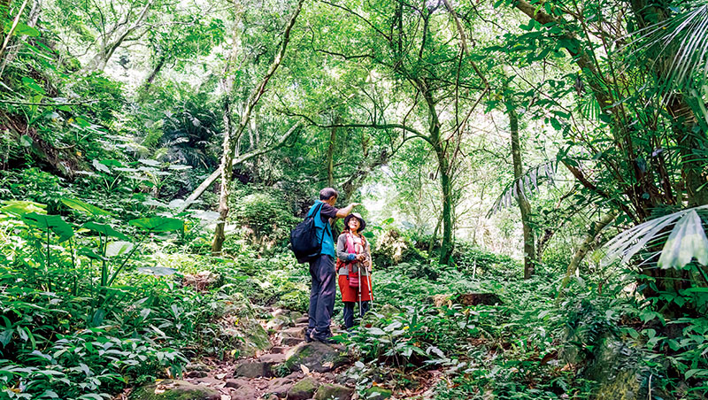 徒步樟之細路　見證樟腦王國輝煌年代