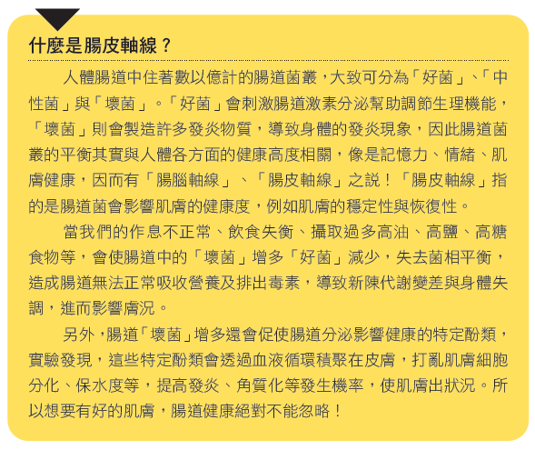 什麼是腸皮軸線？