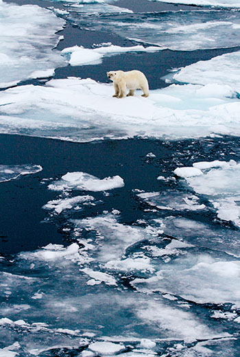 約翰每年會固定參與極地導覽工作，就近觀察與記錄新的氣候變遷危機。_ 陶世忠