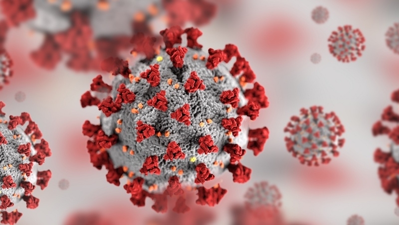 重症清零 與病毒共存 英文怎麼說 Toeic Program Taiwan Chun Shin 商周