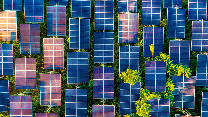 一鍵千元入袋　全民賺電費時代