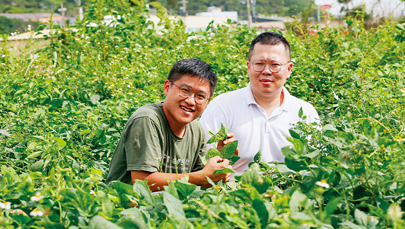 國產大豆不再「扶不起」！白豆干、豆漿賣進全聯與日本