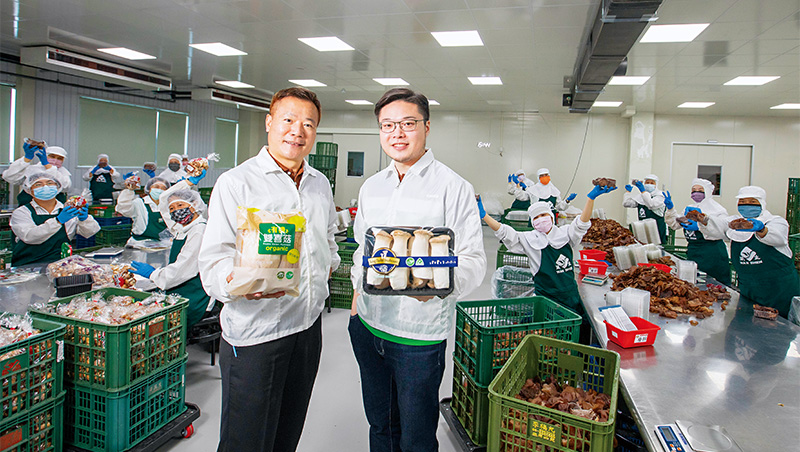 「做這行，要有人的溫度！」　蕈菇運銷王吃下全台3成江山