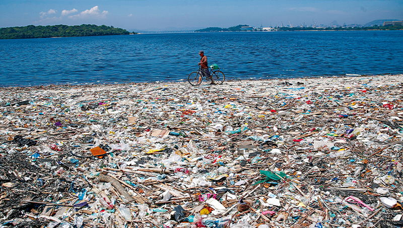 專吃看不見的塑膠微粒！1.3公分機器魚變大海救星