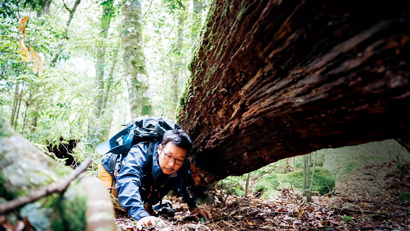 追黑熊的人　郭彥仁