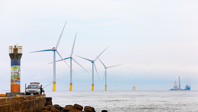 會被地震搖斷？衝擊鯨豚生態？離岸風電關鍵五問