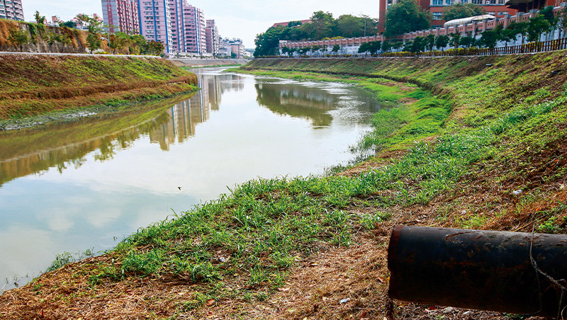 一條河逾十單位踢皮球　台灣河流整治輸萊茵河20年