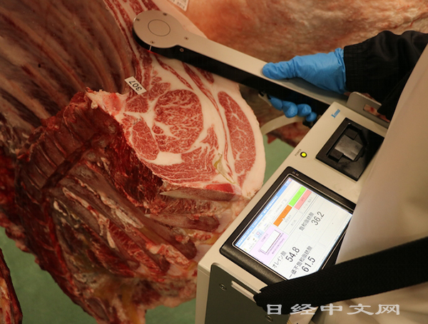 兵庫縣從2020年開始在肉食批發市場上測量油酸等。
