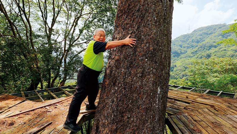 造林23年、壯大媽祖廟聯盟　鹿港廟公變碳權贏家