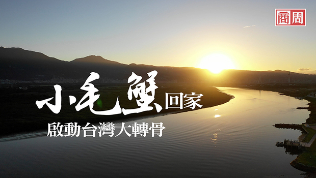 小毛蟹回家啟動台灣大轉骨》人均GDP超韓趕日，淡水河迎來50年生態奇蹟！｜封面故事