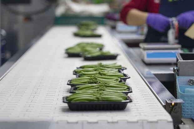 經農緯果菜處理的蔬菜商品。