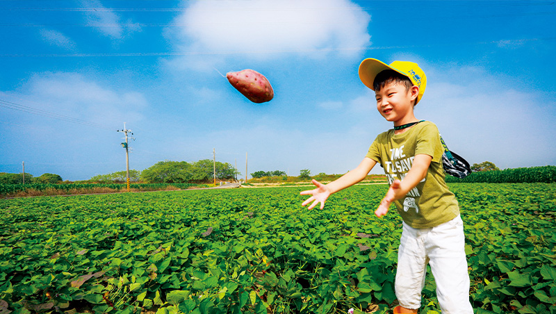 誰減碳玩真的？誰減得多又賺？完整盤點上市企業黃金名單