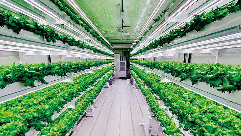 電動車、綠電全在這誕生　3萬人氣候大會揭下波產業熱點