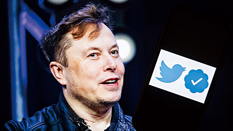 馬斯克掀「藍鳥革命」　推特假帳號恐越打越多？