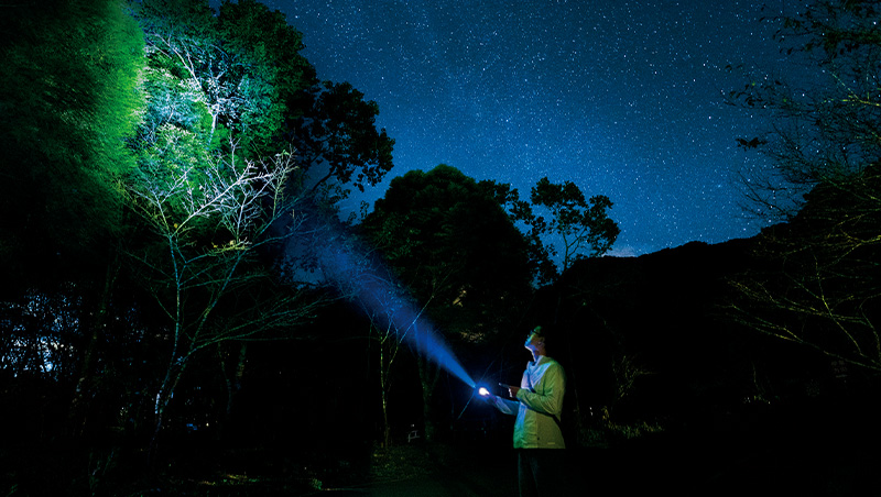 追飛鼠、認星星、嘗肉桂葉　森林夜觀重啟五感體驗