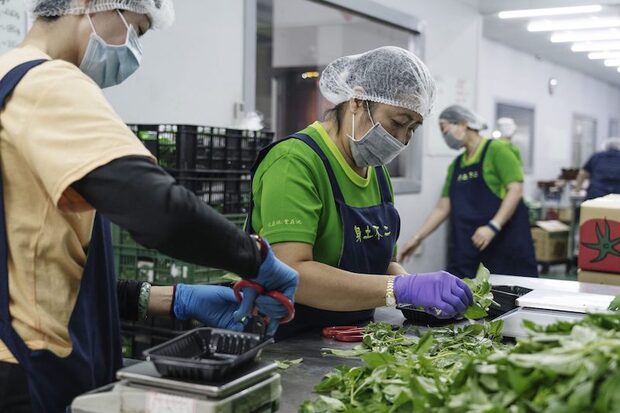 農緯果菜對出貨的蔬菜品質非常要求。
