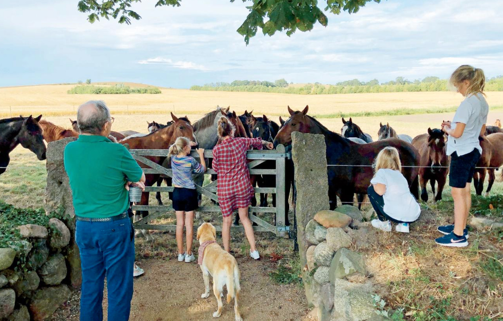 2018年夏天，樂高家族第三代掌門人克伊爾德（Kjeld Kirk Kristiansen）於舍倫堡的馬場在孫兒的陪伴下欣賞夕陽美景。