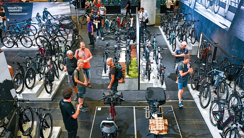 自信惹禍　巨大延票風暴全解讀(下)