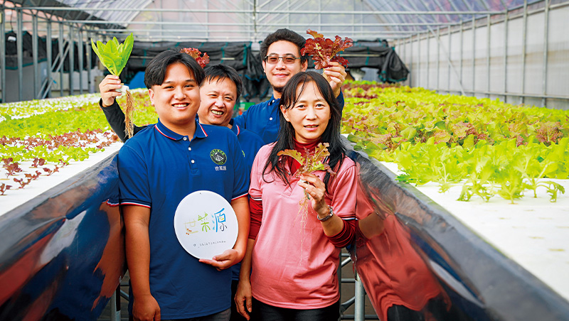 不用土不澆水、夏天種出大草莓　高薪OL霧氣種菜打進科威特