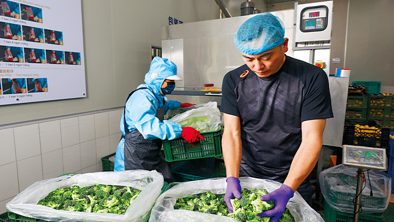 菜籃革命2》夏天綠竹筍冬天吃得到！他剷平淡旺季365天均一價