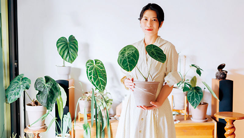 燈具、木架、盆器、品種　4招搭出植感減壓空間