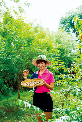 圍牆邊的雜草翻身　屏東人製黃荊滷蛋、戰斧豬排